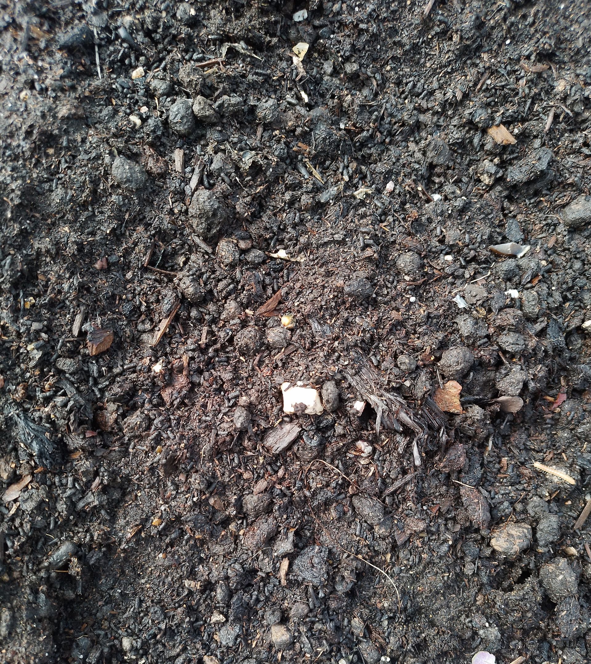 Terreau pour jardiner