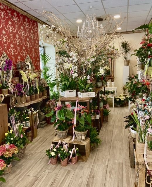 Una habitación llena de muchas plantas y flores en macetas.