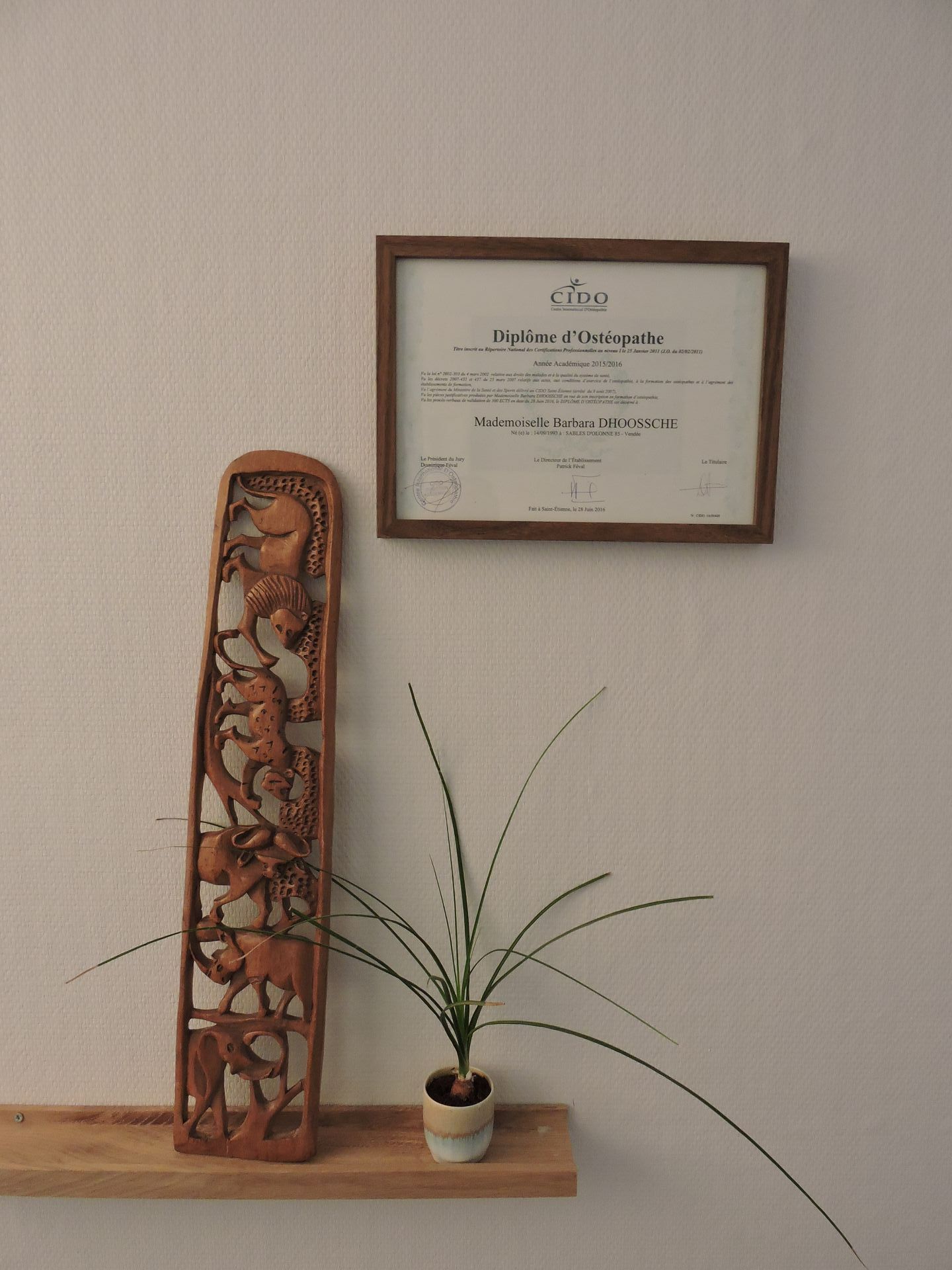 Diplôme d'Osthéopathe