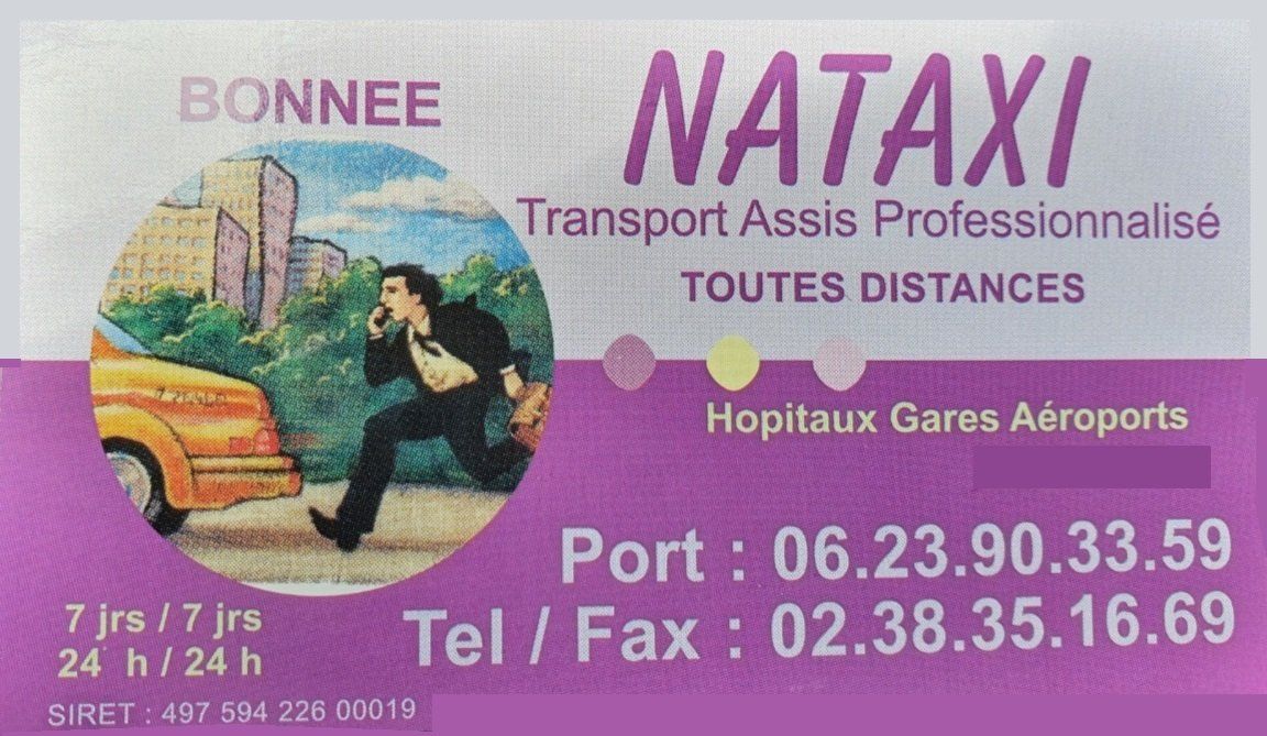 Logo Nataxi