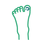 Un icono verde de un pie sobre un fondo blanco.