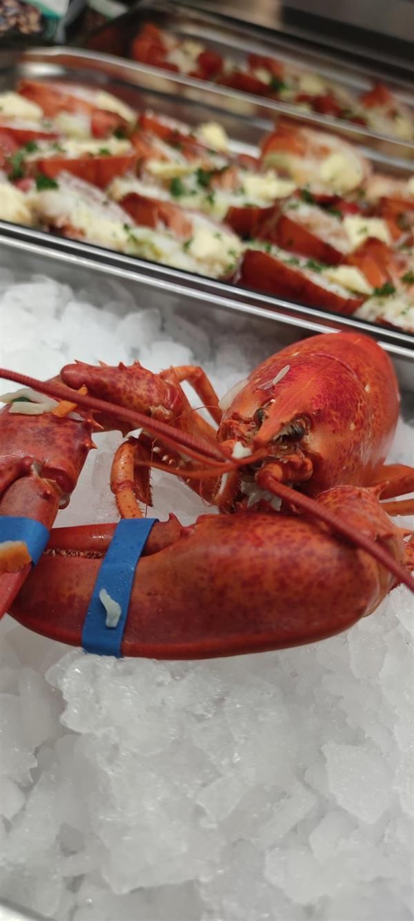 Ein Hummer mit einem blauen Band am Schwanz sitzt auf Eis