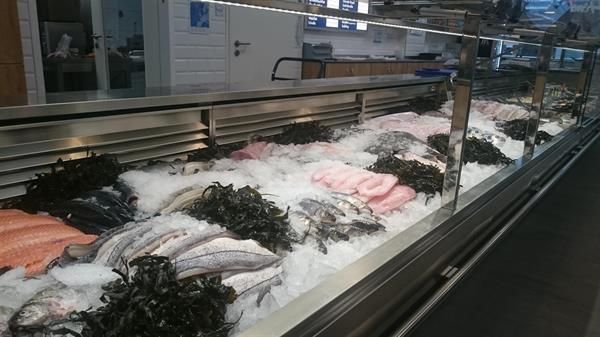Eine Vitrine mit viel Fisch und Seetang