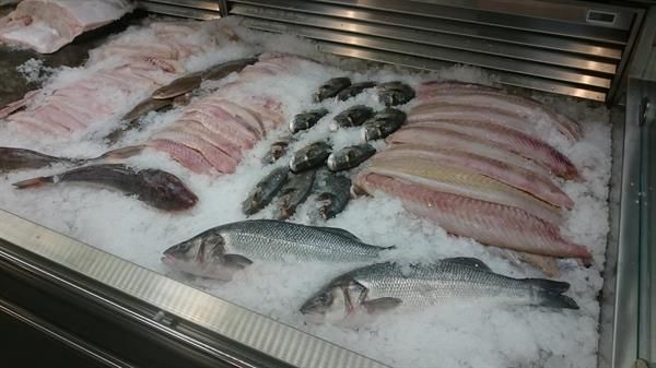 In einem Kühlschrank werden verschiedene Fische auf Eis präsentiert.
