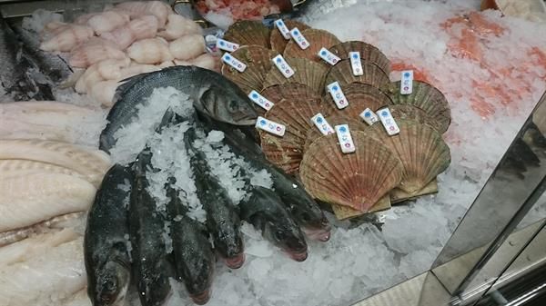 In einem Geschäft werden verschiedene Meeresfrüchte auf Eis präsentiert