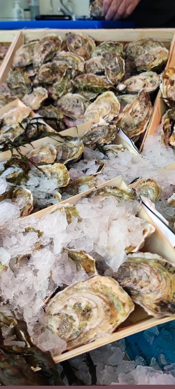 Ein Holztablett gefüllt mit Austern und Eis.