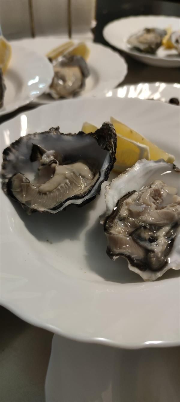 Zwei Austern liegen mit Zitronenscheiben auf einem weißen Teller.