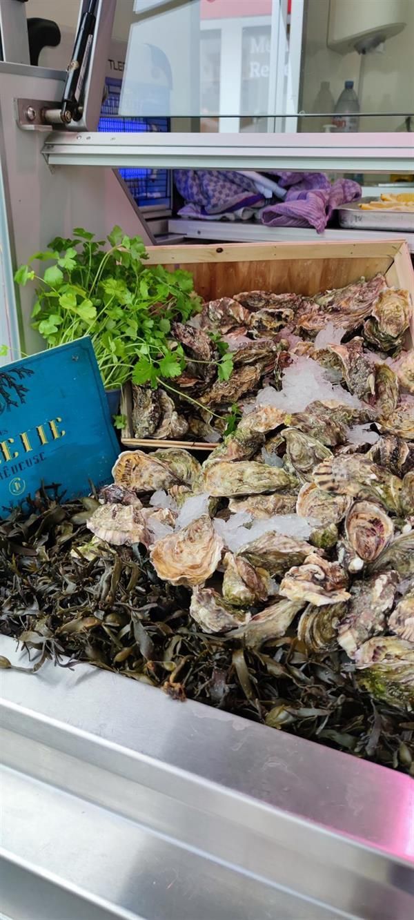 Ein Haufen Austern liegen auf Eis in einer Vitrine