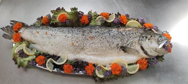 Ein großer Fisch liegt auf einem Teller mit Blumen und Zitronen.