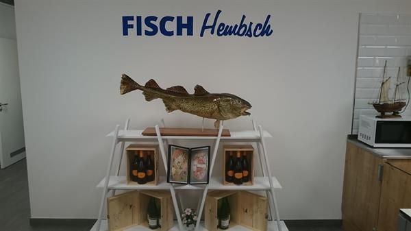 Ein Fisch liegt auf einem Regal in einem Zimmer.