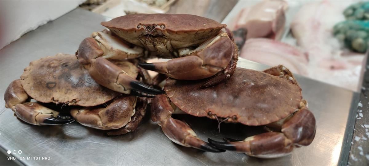 Auf einer Theke sind drei Krabben übereinander gestapelt.