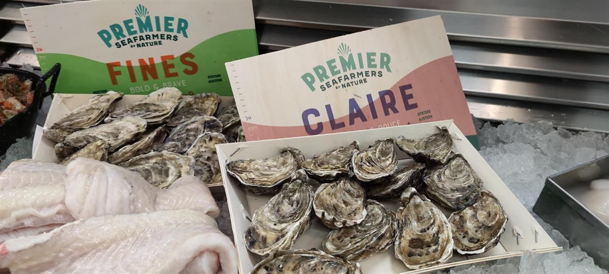 Zwei Kisten mit Austern liegen auf Eis neben einer Kiste mit Fisch