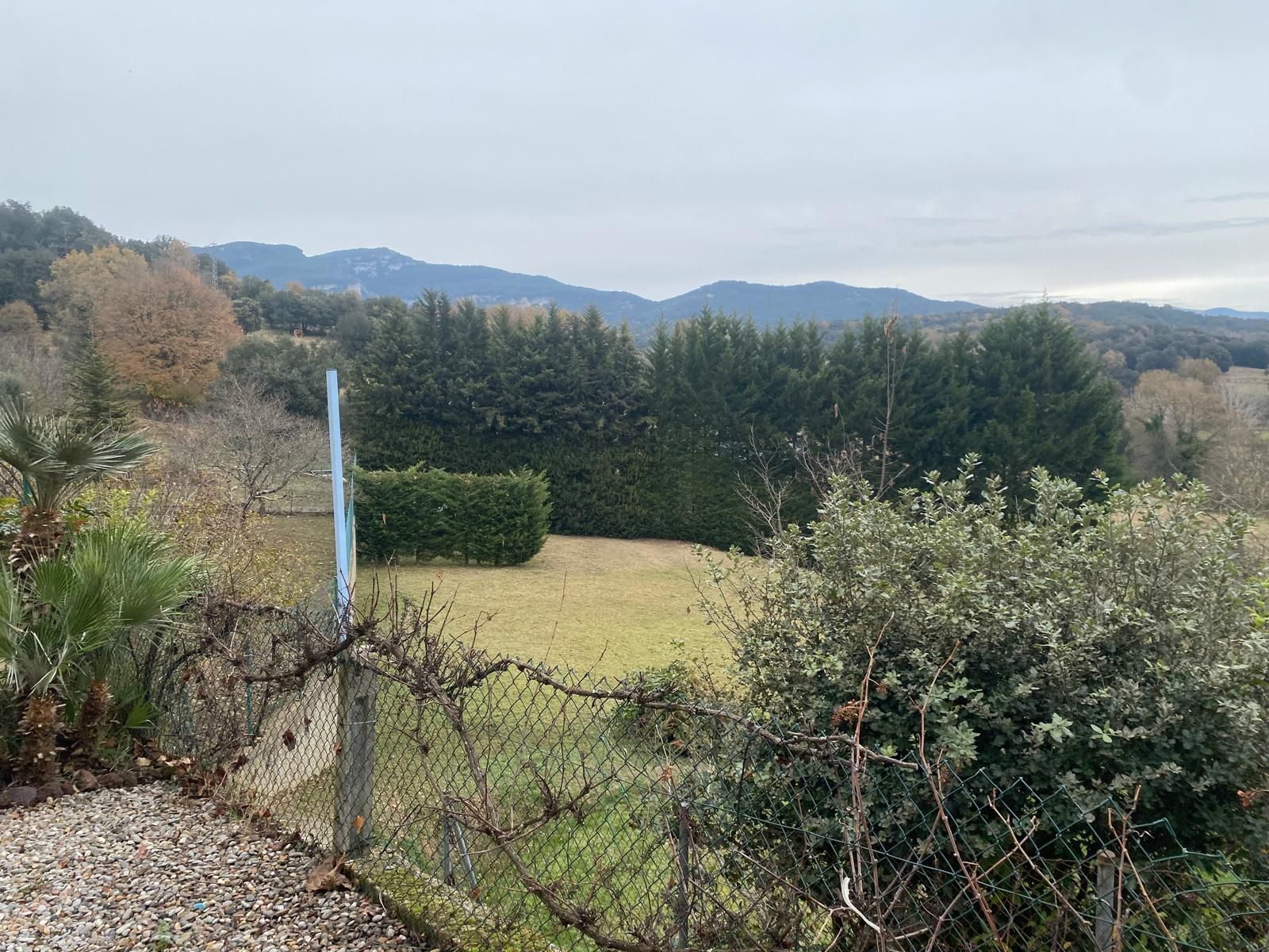 Exuberante patio verde con un seto denso y vista a la montaña, bajo un cielo nublado.