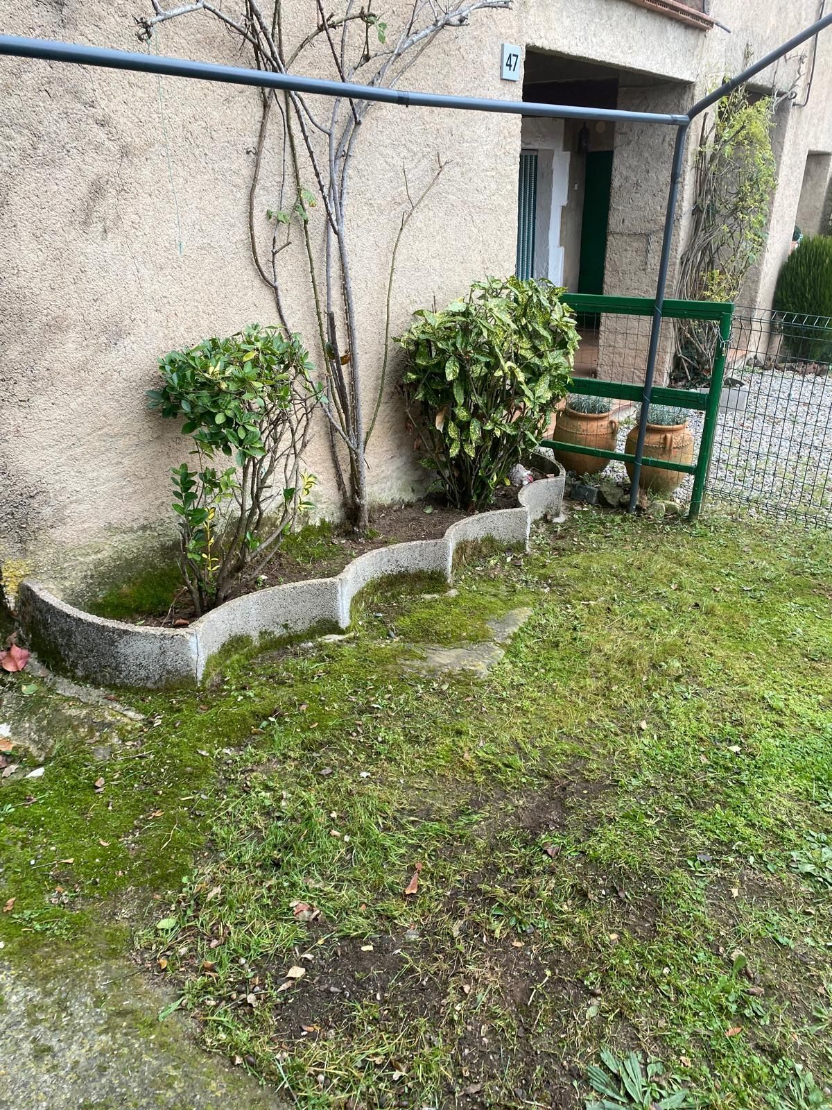 Jardinera con borde de hormigón, arbustos y césped. Edificio gris al fondo.
