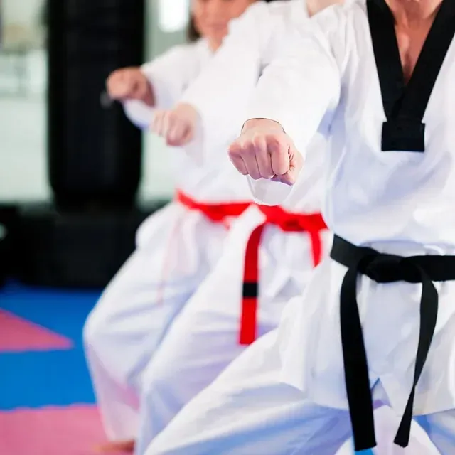 Un grupo de personas vestidas con uniformes de karate blancos y cinturones negros.