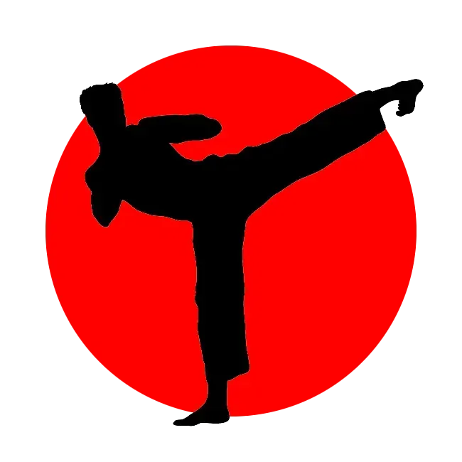Una silueta de una persona haciendo karate en un círculo rojo.