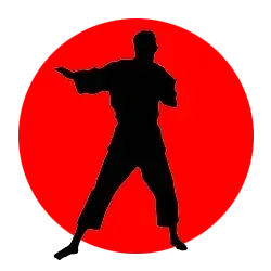 Una silueta de un hombre practicando karate en un círculo rojo.