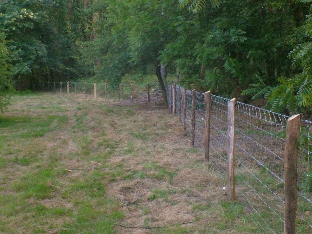 Blanco Félix Terrassement à Mont-de-Marsan Clôture acacia