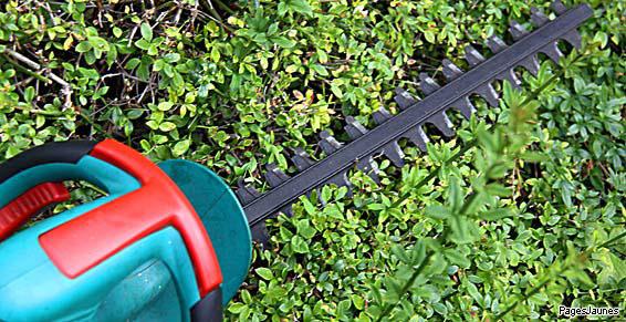 Blanco Félix Terrassement à Mont-de-Marsan Taille de haie