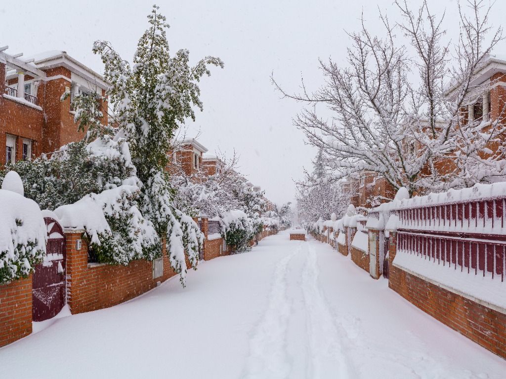 Una calle nevada con casas y árboles cubiertos de nieve.