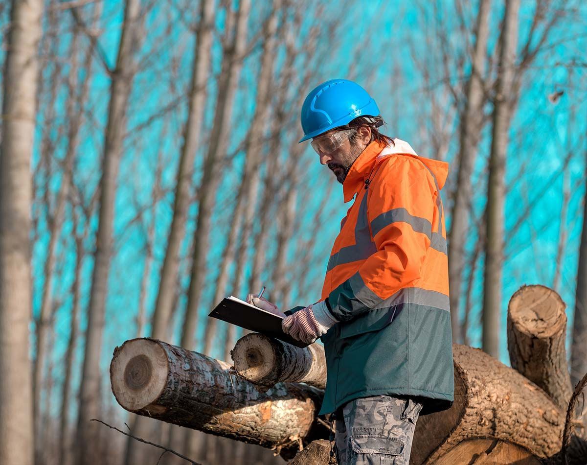 Ouvrier forestier debout prenant des notes sur un carnet