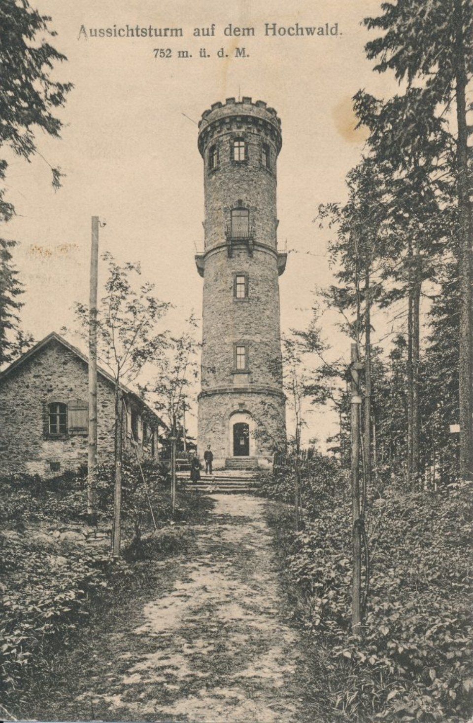 Turm im Hochwald