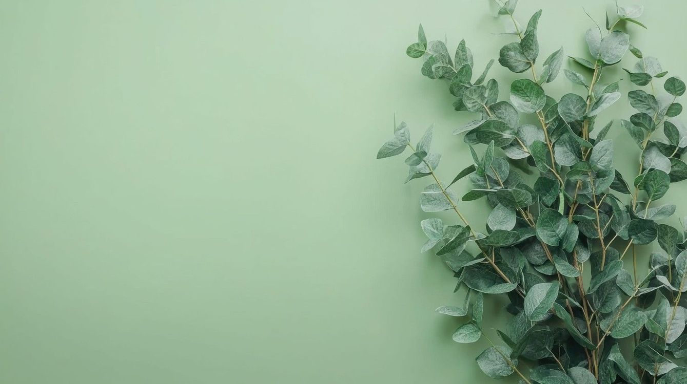 Planta de hojas verdes contra una pared de color verde pálido.