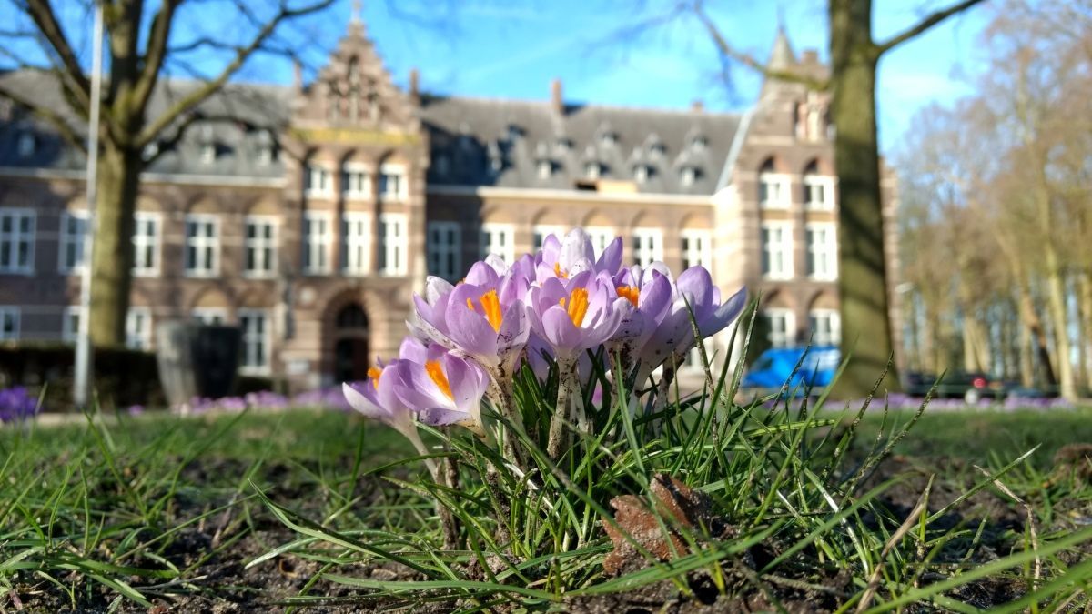 Historische en creatieve vergaderlocatie bij Bovendonk in een bosrijke omgeving