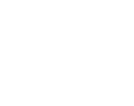 Imagen blanca en blanco con una fina línea negra a lo largo del borde inferior.