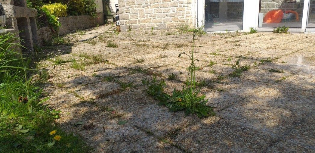 Avant le nettoyage de terrasse