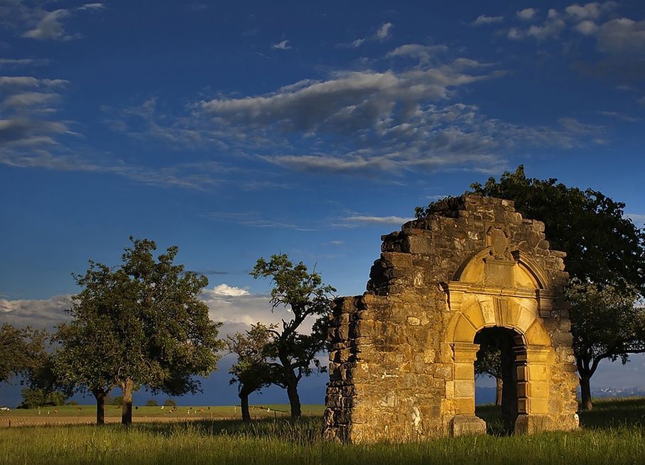 Vermot Sàrl - Montricher