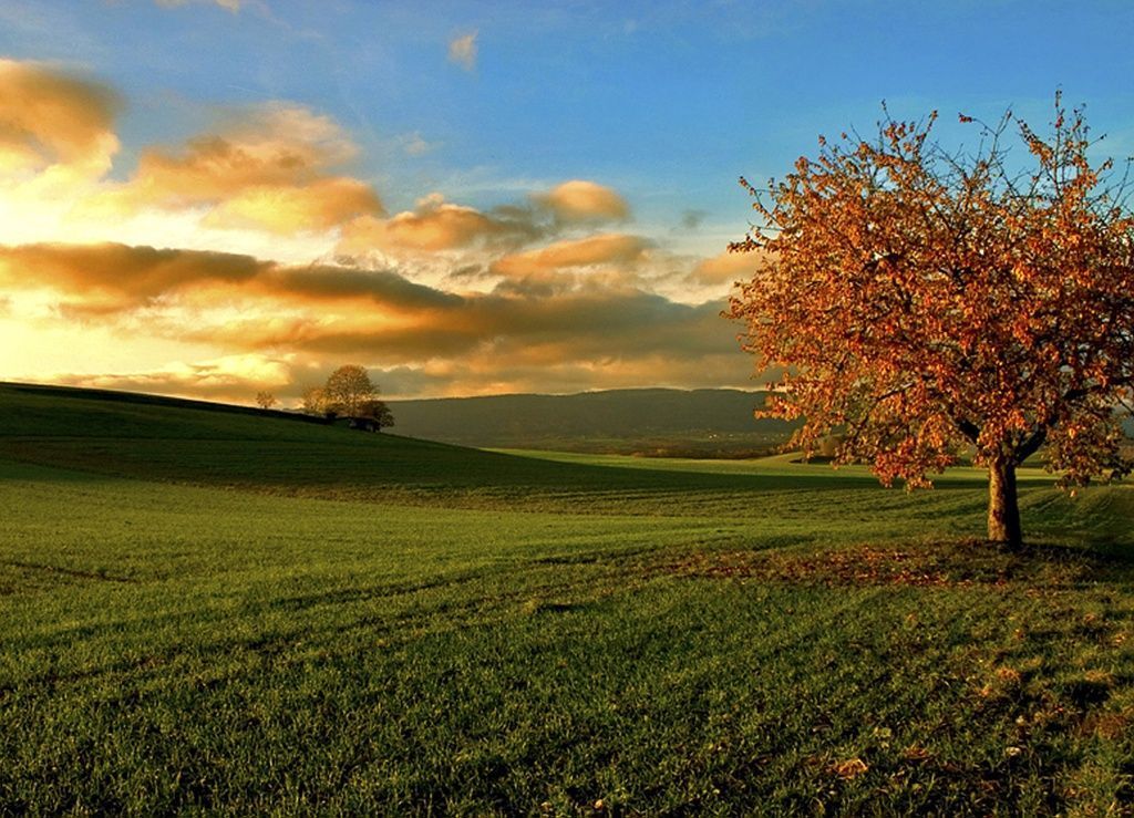 Vermot Sàrl - Montricher