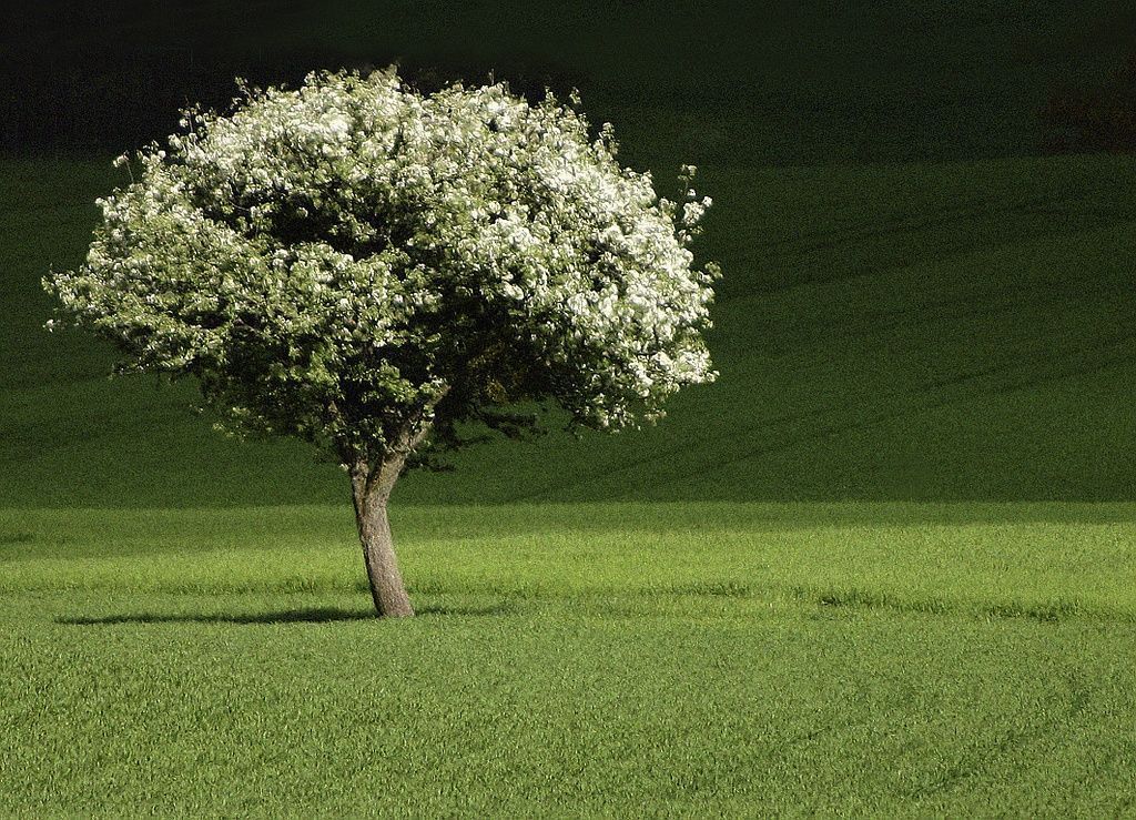 Vermot Sàrl - Montricher