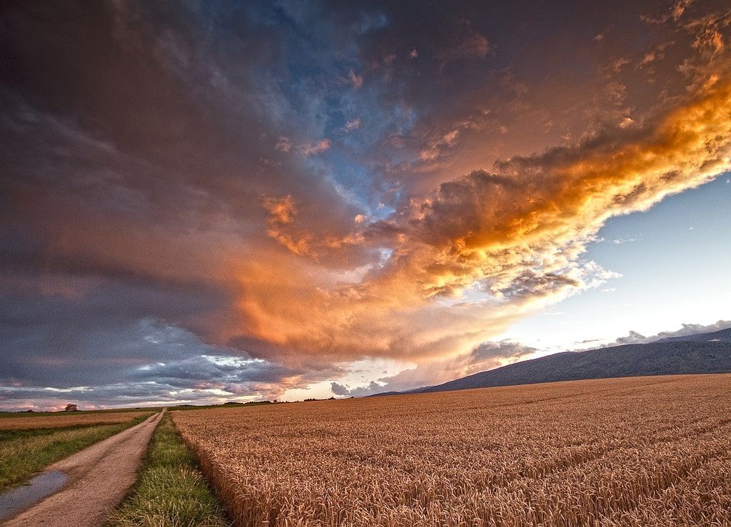 Vermot Sàrl - Montricher