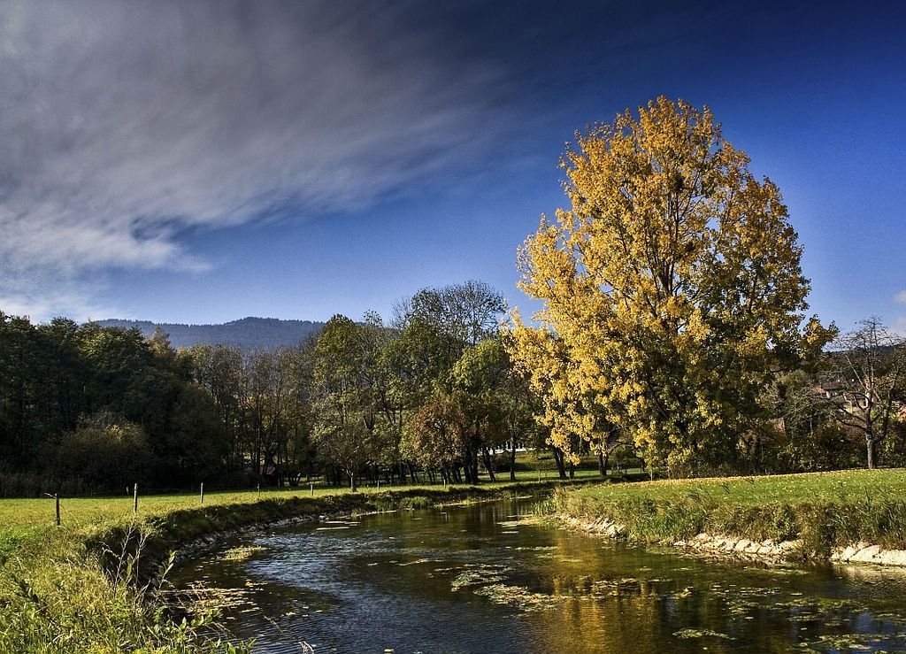 Vermot Sàrl - Montricher