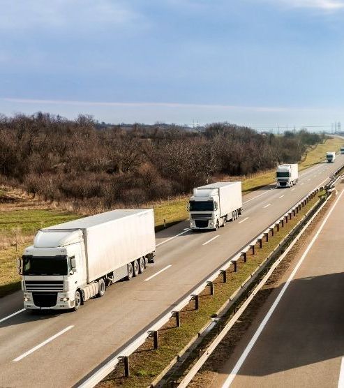 Una fila de camiones semirremolque circula por una autopista.