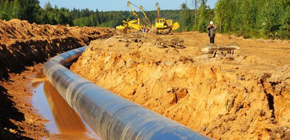 Pose d'un pipeline dans une tranchée sablonneuse à l'aide d'engins lourds et d'ouvriers dans une clairière.