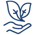 Des mains tenant une plante en germination à l'intérieur du contour d'un papillon bleu
