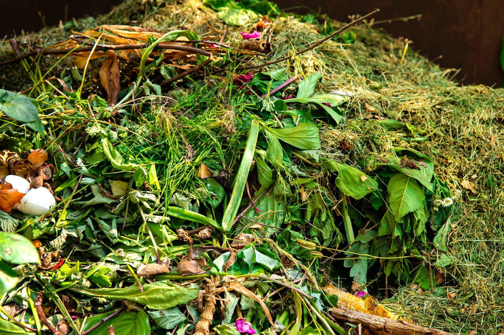 Tas de déchets végétaux verts mélangés et de feuilles au sol.