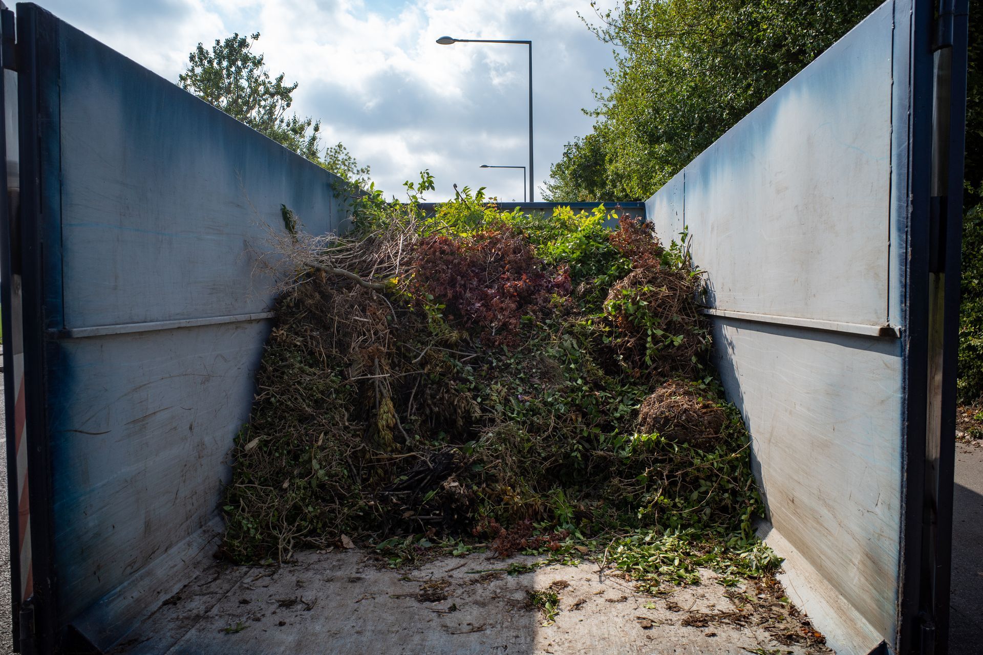 Déchets verts dans une benne métallique.