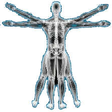 Osteopate Laurence Naert