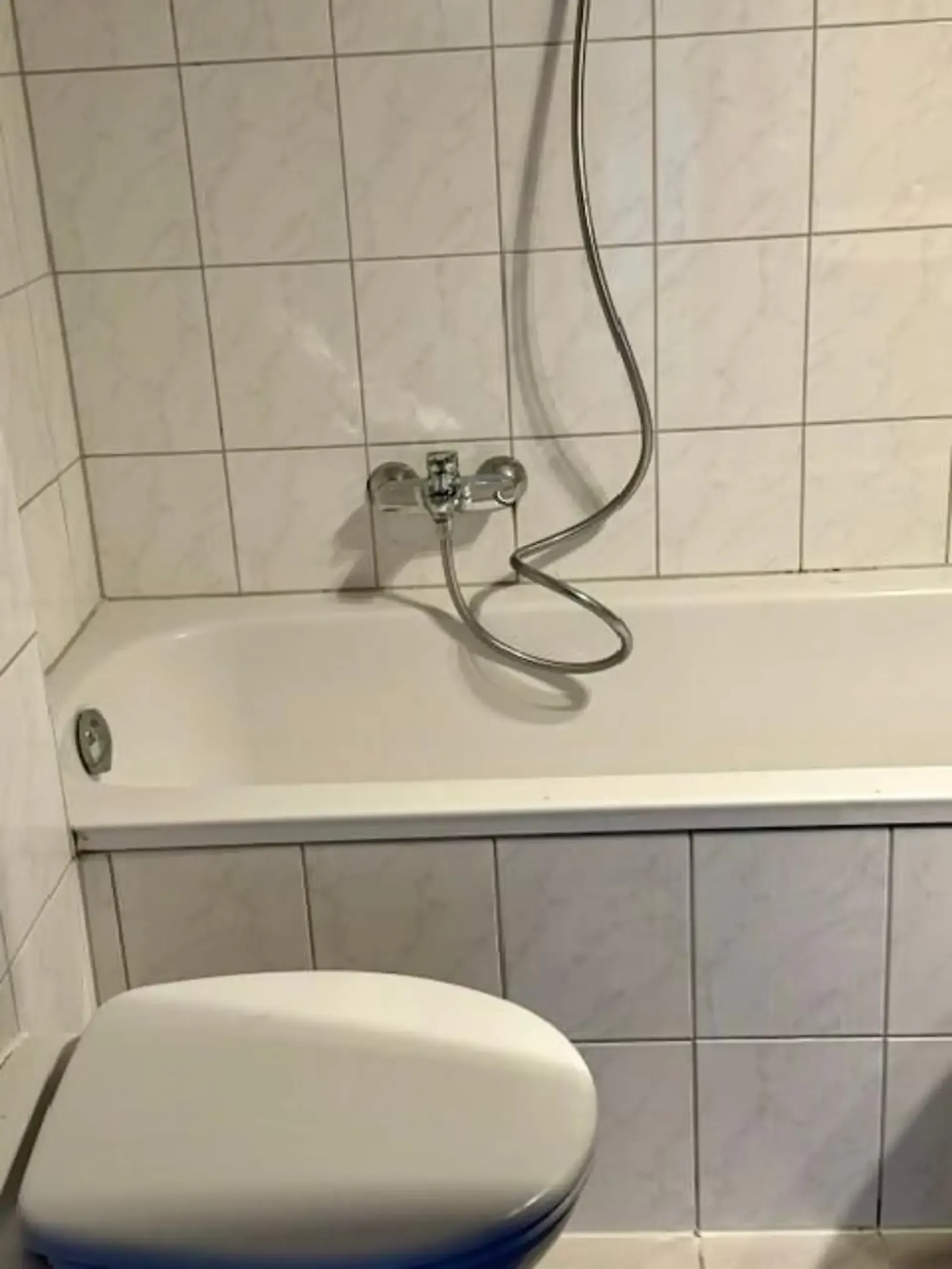 Wohnung Miete