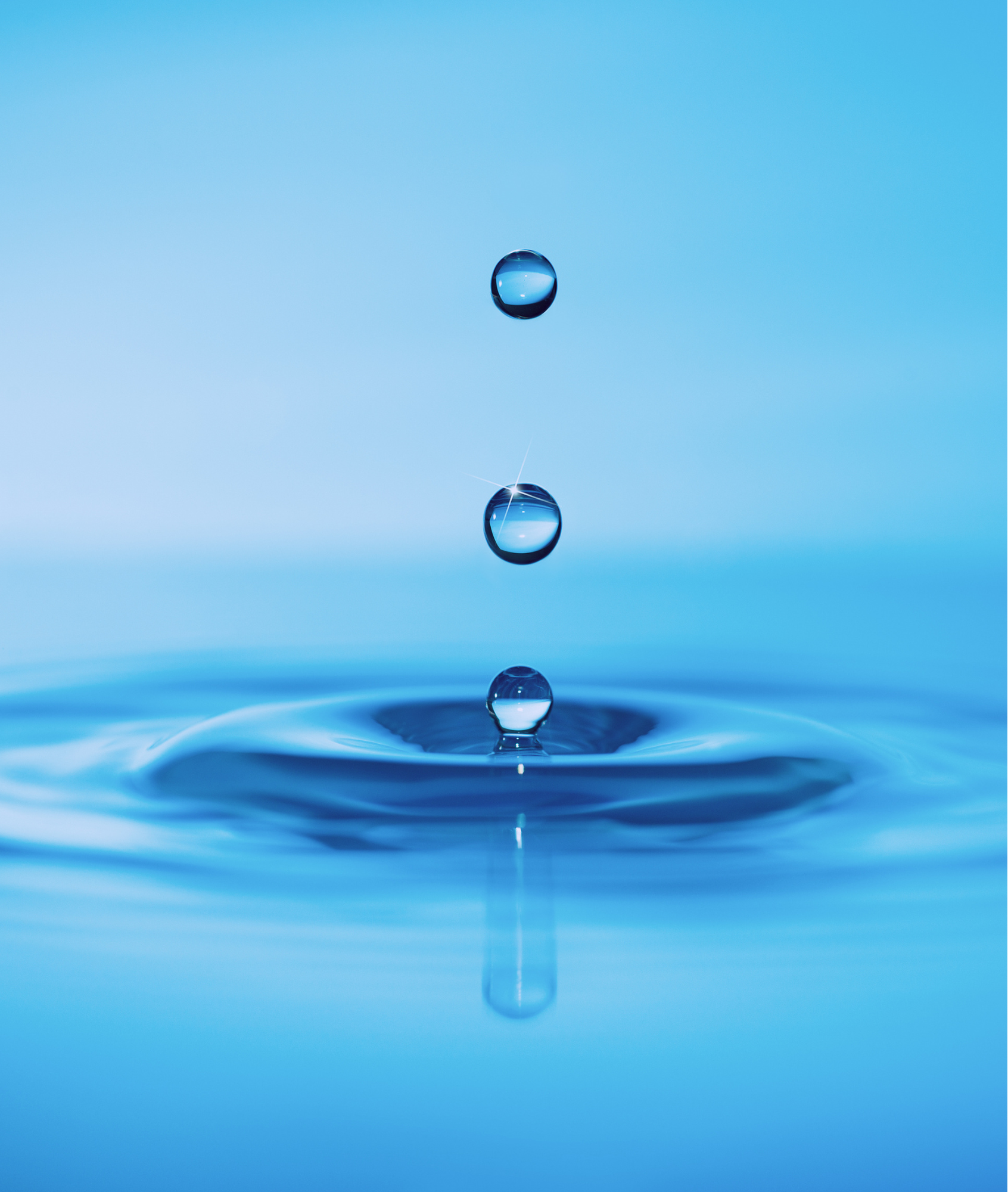 Activité : hydrogéologie et assainissement