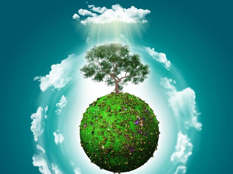 Photo d'un globe vert avec un arbre