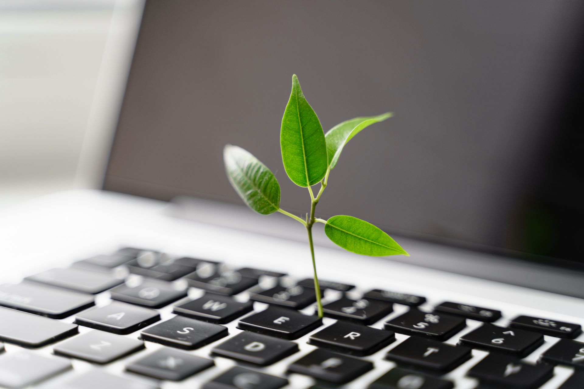 Photo d'un ordinateur avec une plante qui pousse sur le clavier