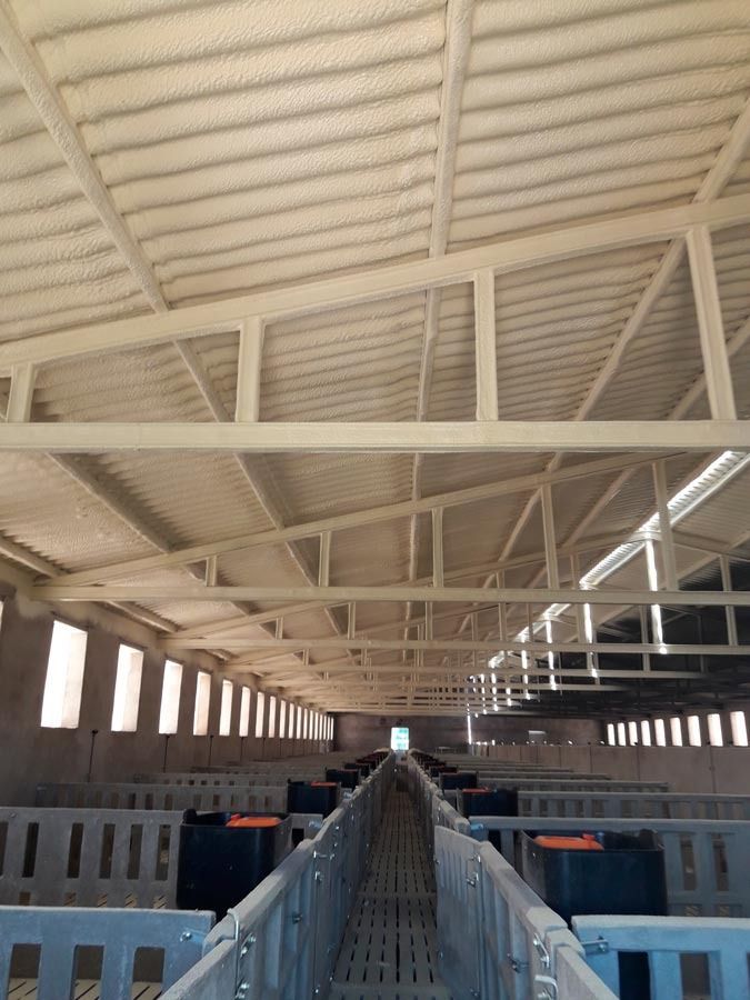 Un edificio grande con un techo cubierto de espuma.