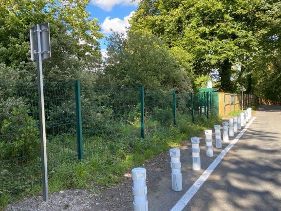 Bornes en plastique blanc le long d'une allée marquée au sol à droite d'un bosquet