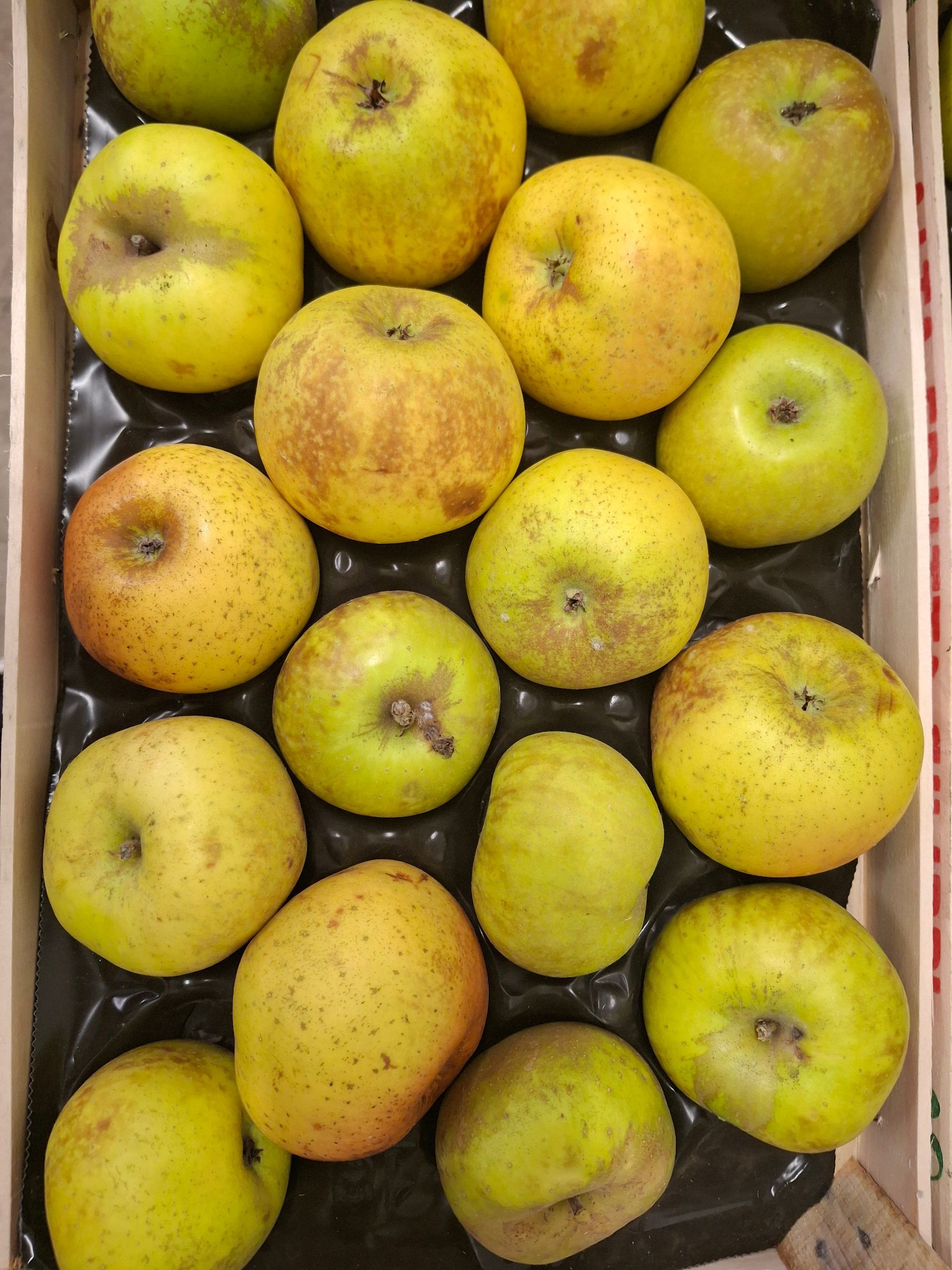 De l'huile d'olive est versée d'une bouteille dans un verre transparent, avec des olives et une branche à côté.