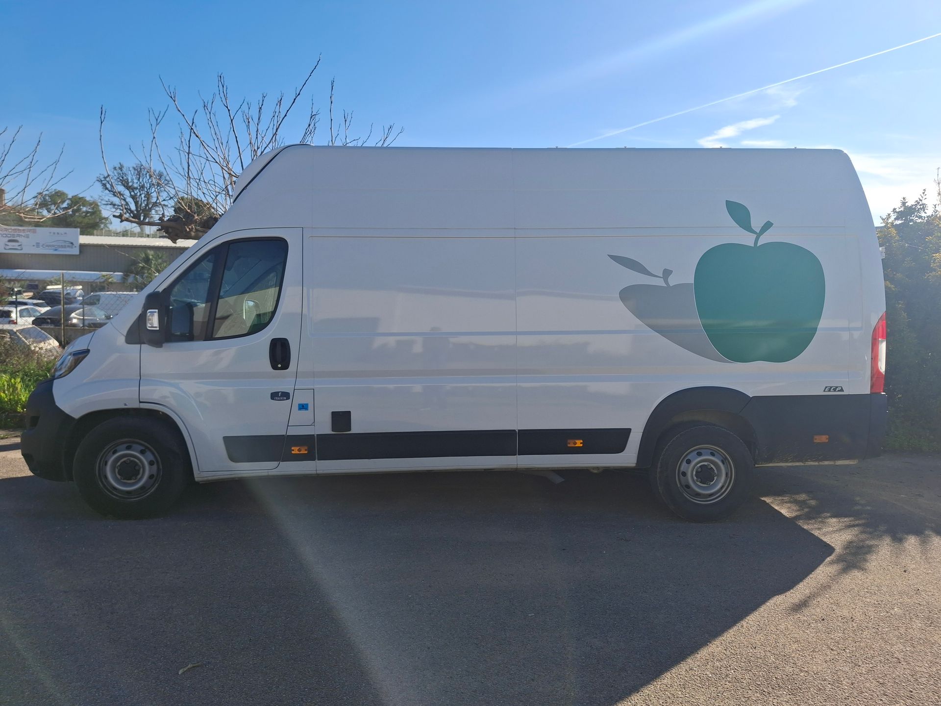 Un étalage coloré de divers produits frais sur un marché.