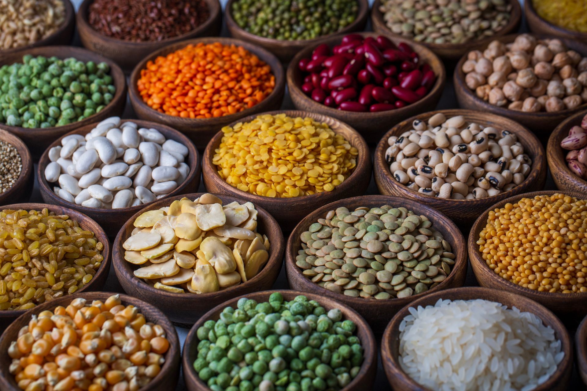 Des bols remplis de légumineuses et de céréales séchées variées, présentant une diversité de couleurs et de textures.